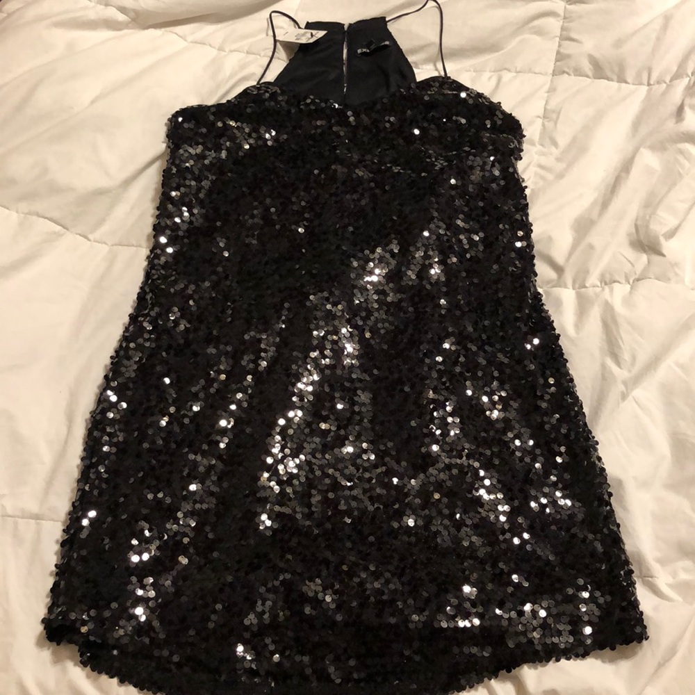 Express Full Sequins Dress